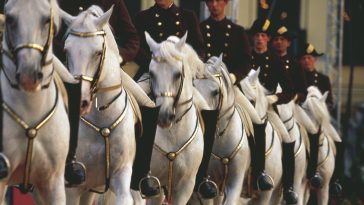 Die Spanische Hofreitschule, Pferde und ihre Reiter