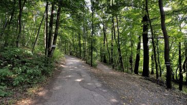 Wanderweg mit Schild durch den Wienerwald