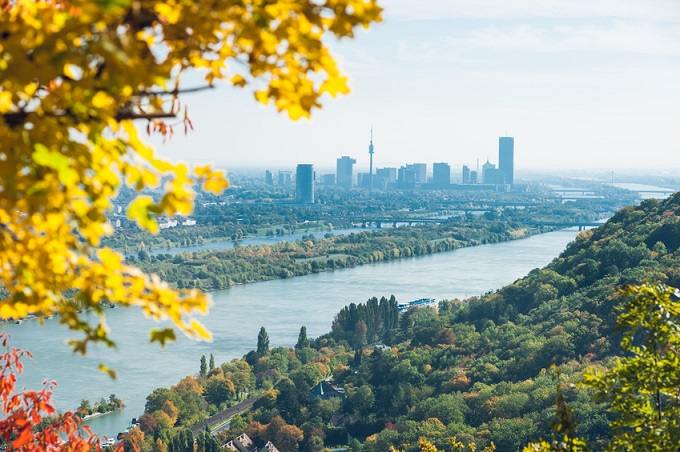 Ausblick vom Leopoldsberg über die Wälder zur Donauinsel