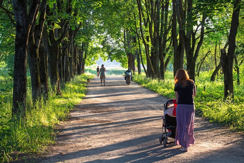 Mutter fährt mit Kinderwagen durch einen grünen Park