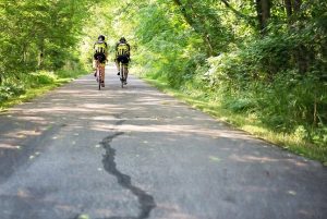 zwei sportliche Männer auf Fahrrädern unterwegs durch einen Waldfahrweg