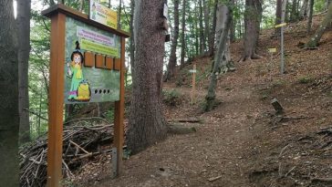 Waldweg mit vielen Lerntafeln, ideal für Kinder