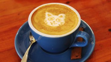 Kaffee mit Fotomotiv "Katze"